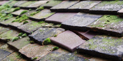 Farnham Park roof repair costs
